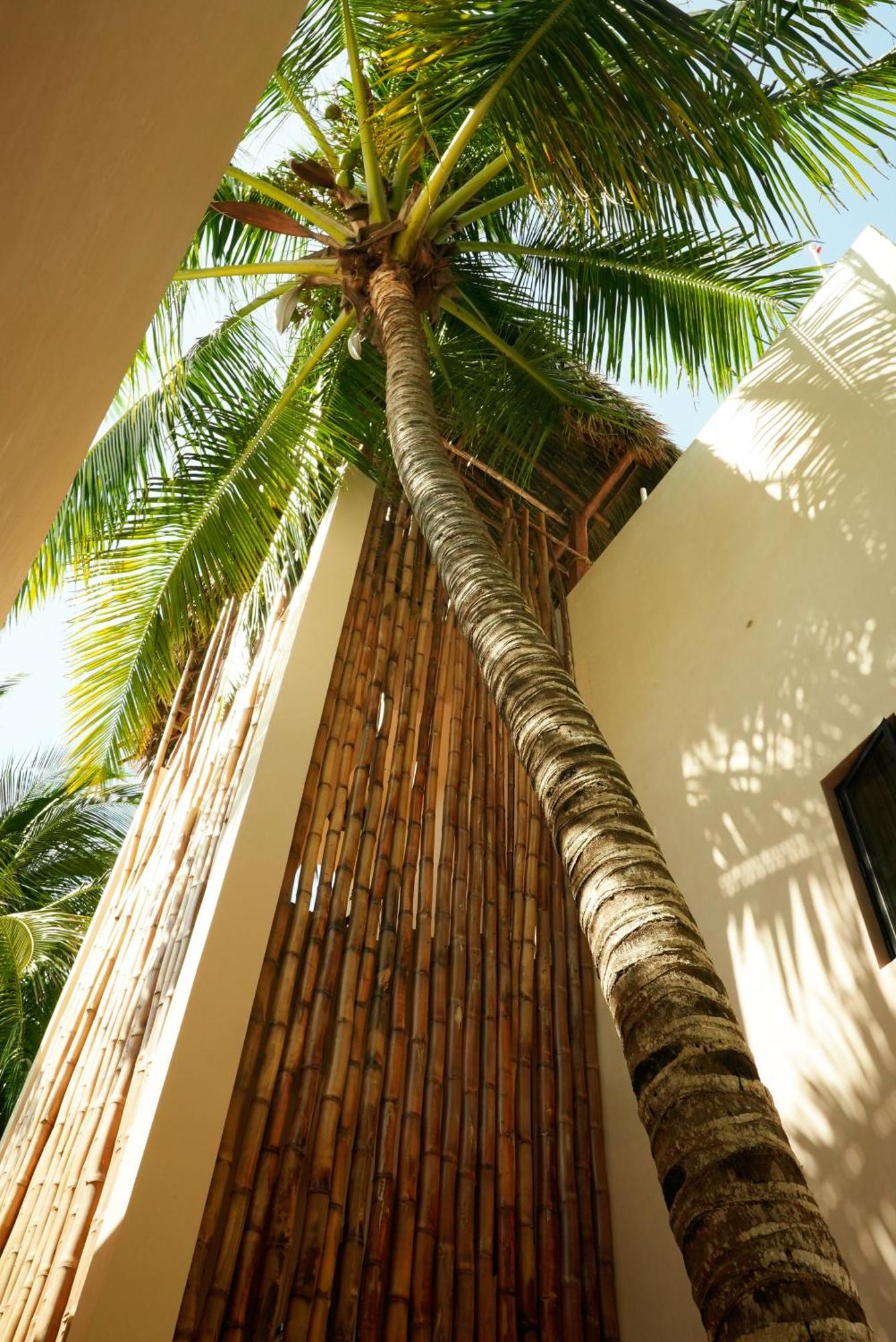 Nikau Hotel El Cuyo - Adults Only Exterior photo